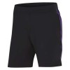 2023/24 Training Shorts 2023/24 Training Shorts
